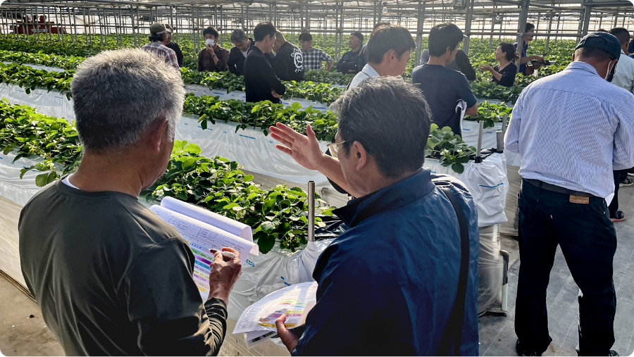 継続的な現地指導と栽培アドバイザーの伴走