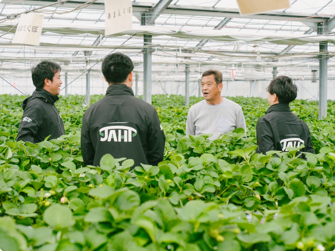 栽培フォローのイメージ