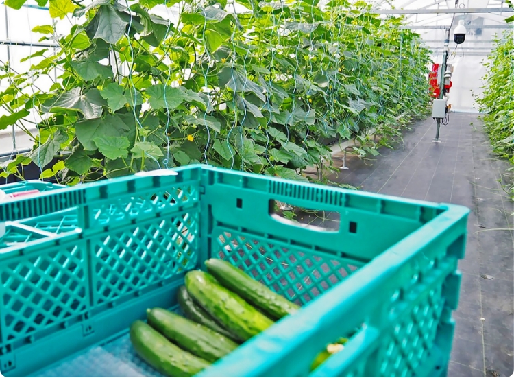 九州大学との共同研究