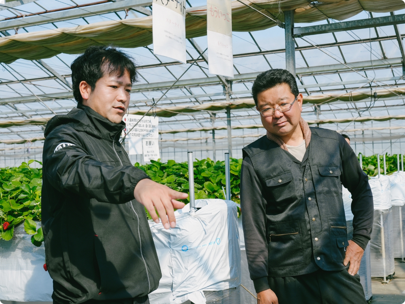 現地技術指導/伴走支援