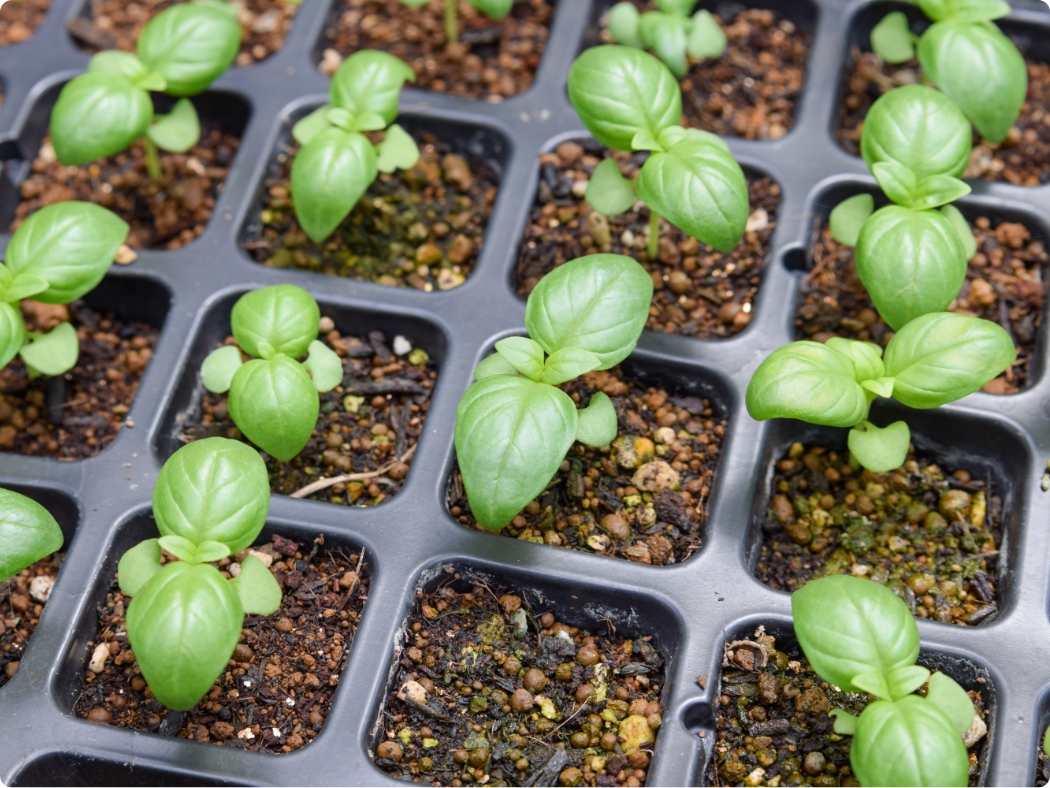 製品/資材の総合展開