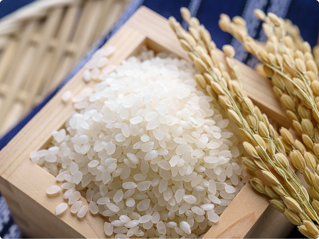 製品/資材の総合展開