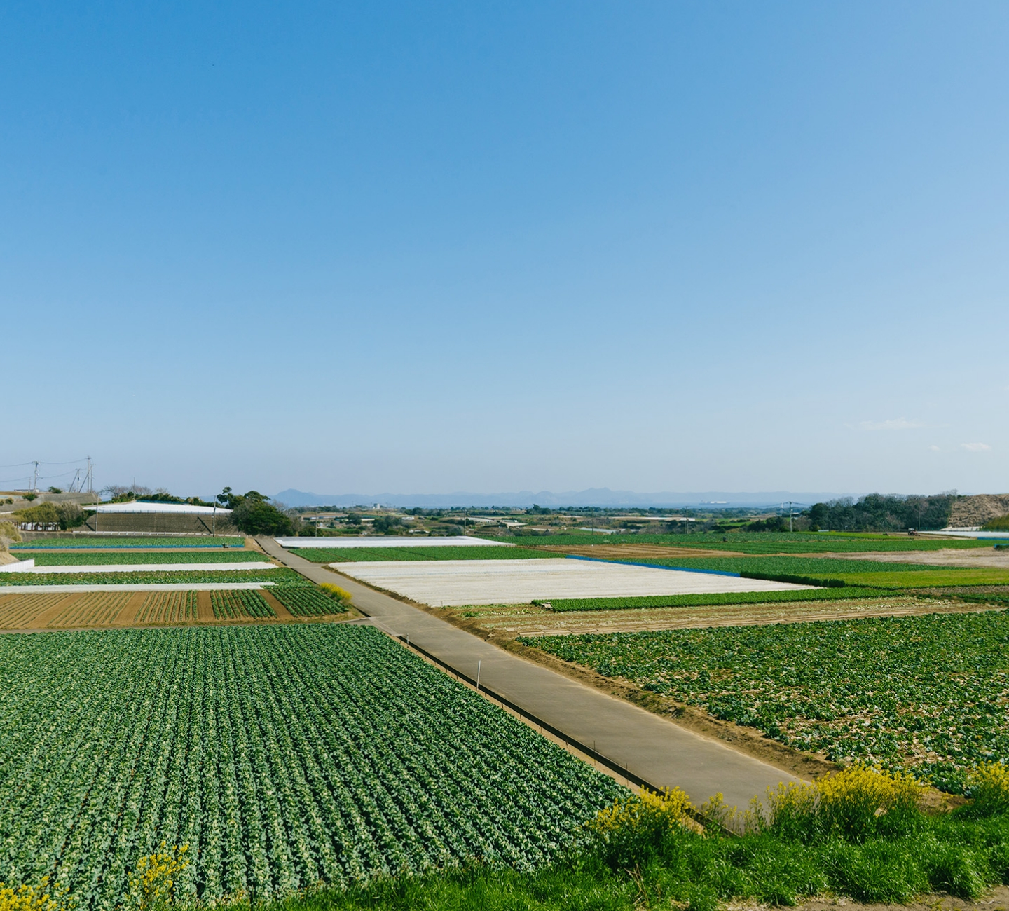 企業紹介の背景