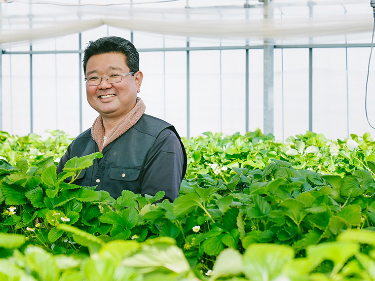 25年続けた土耕から高設栽培へ。新しいいちごづくりへの挑戦