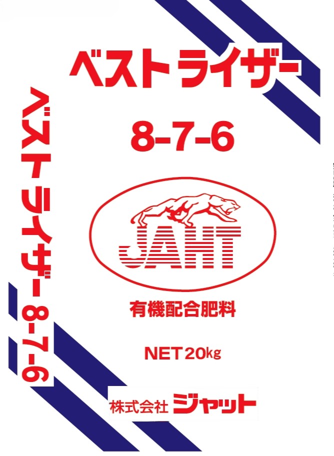 ベストライザー