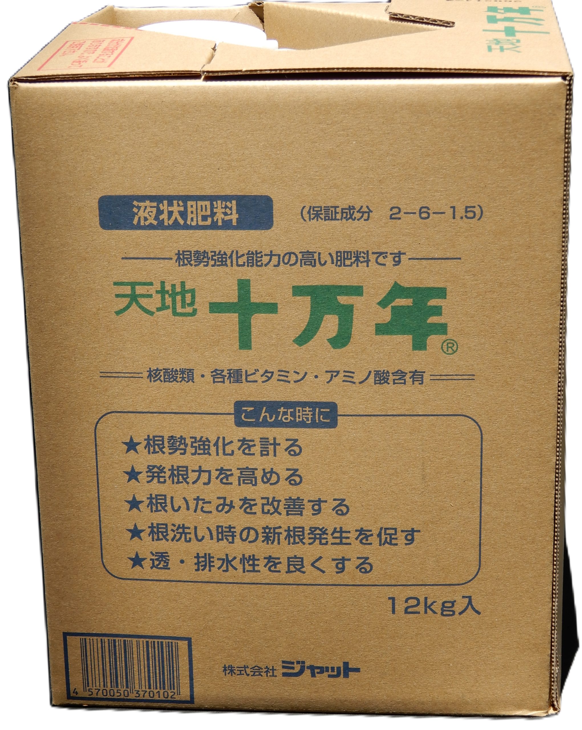 天地十万年